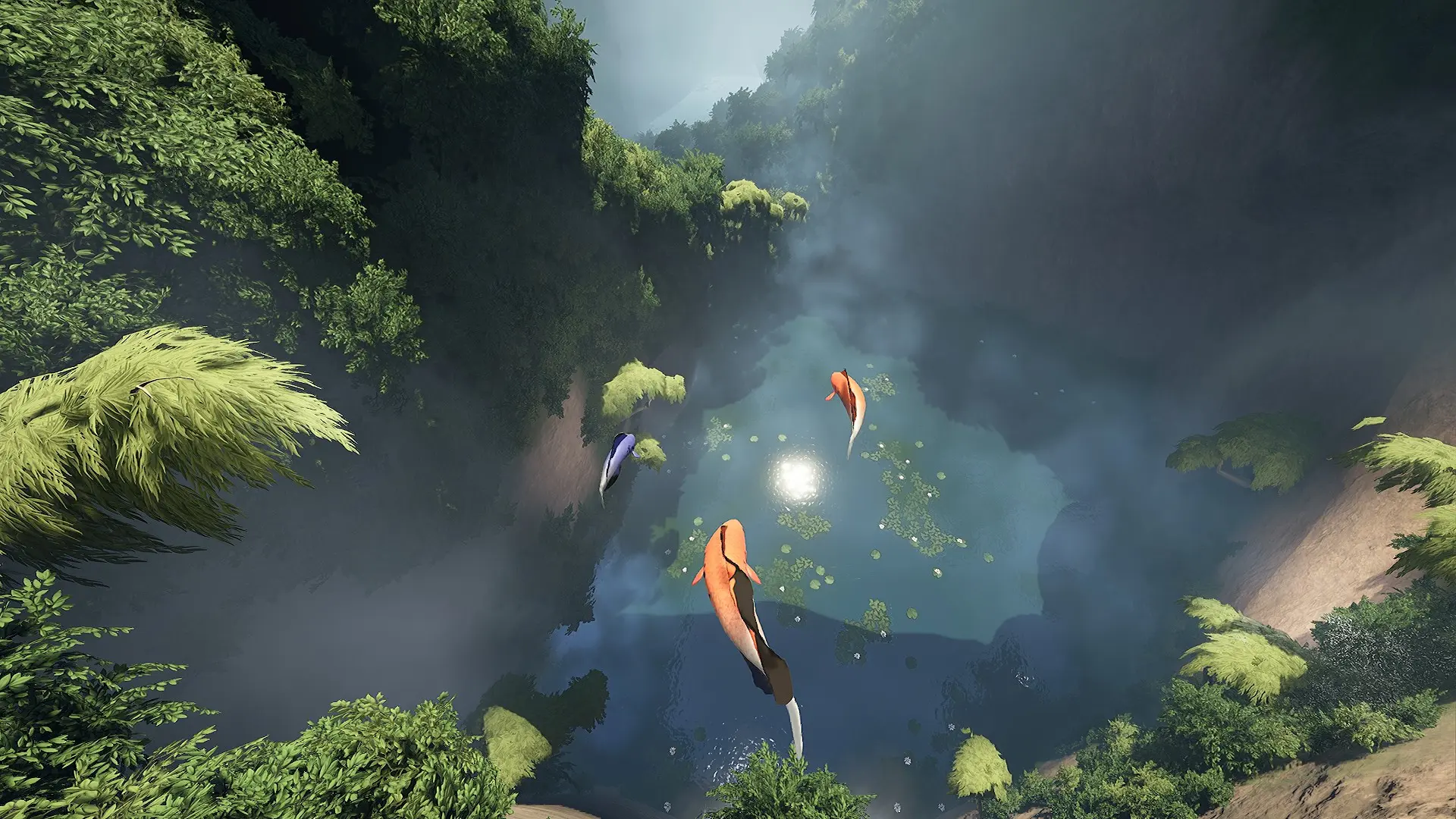 Frame di sezione di nuoto