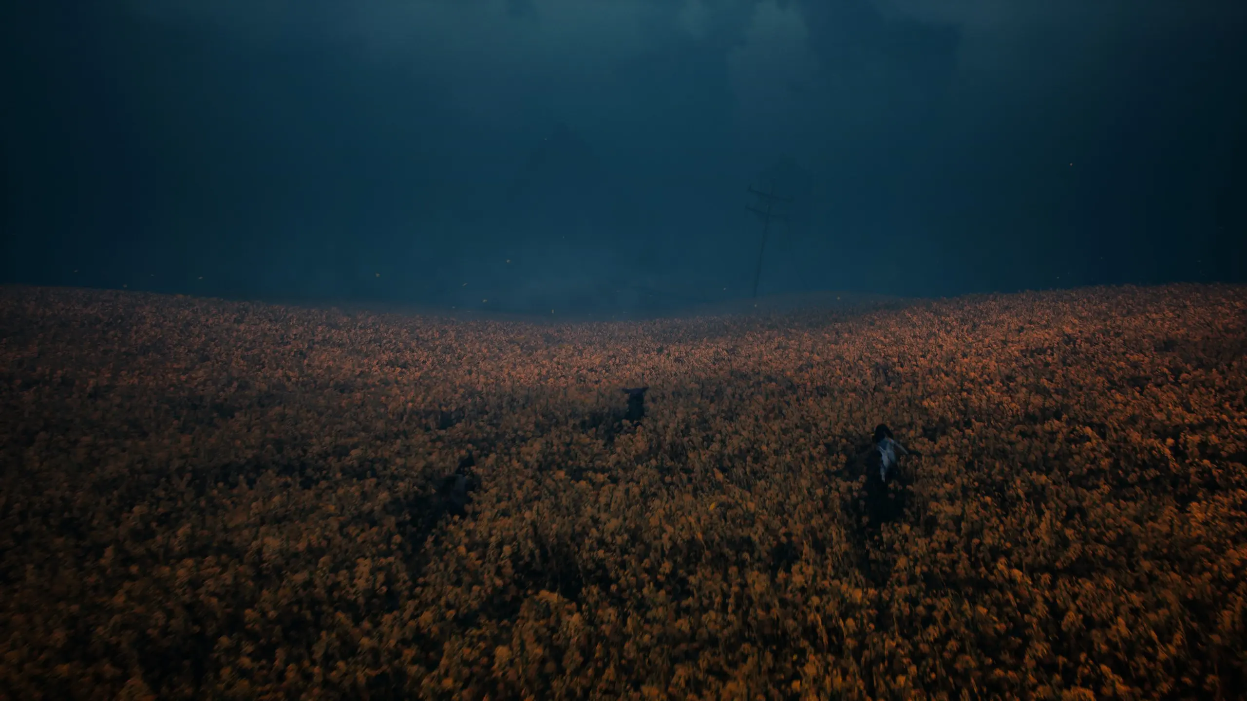 20260216015507 1