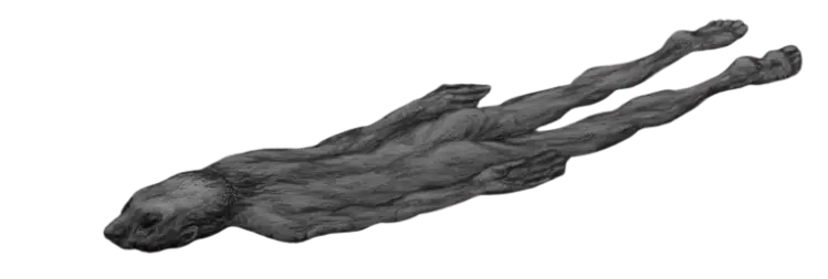 Skin e1771590701335