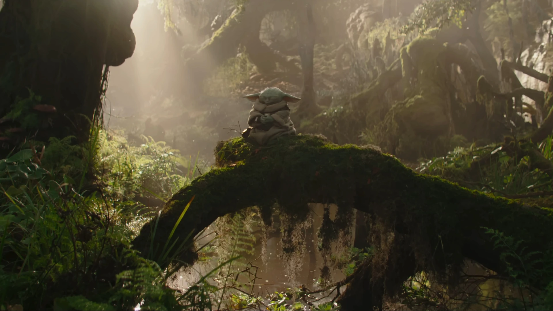 The Mandalorian And Grogu Grogu