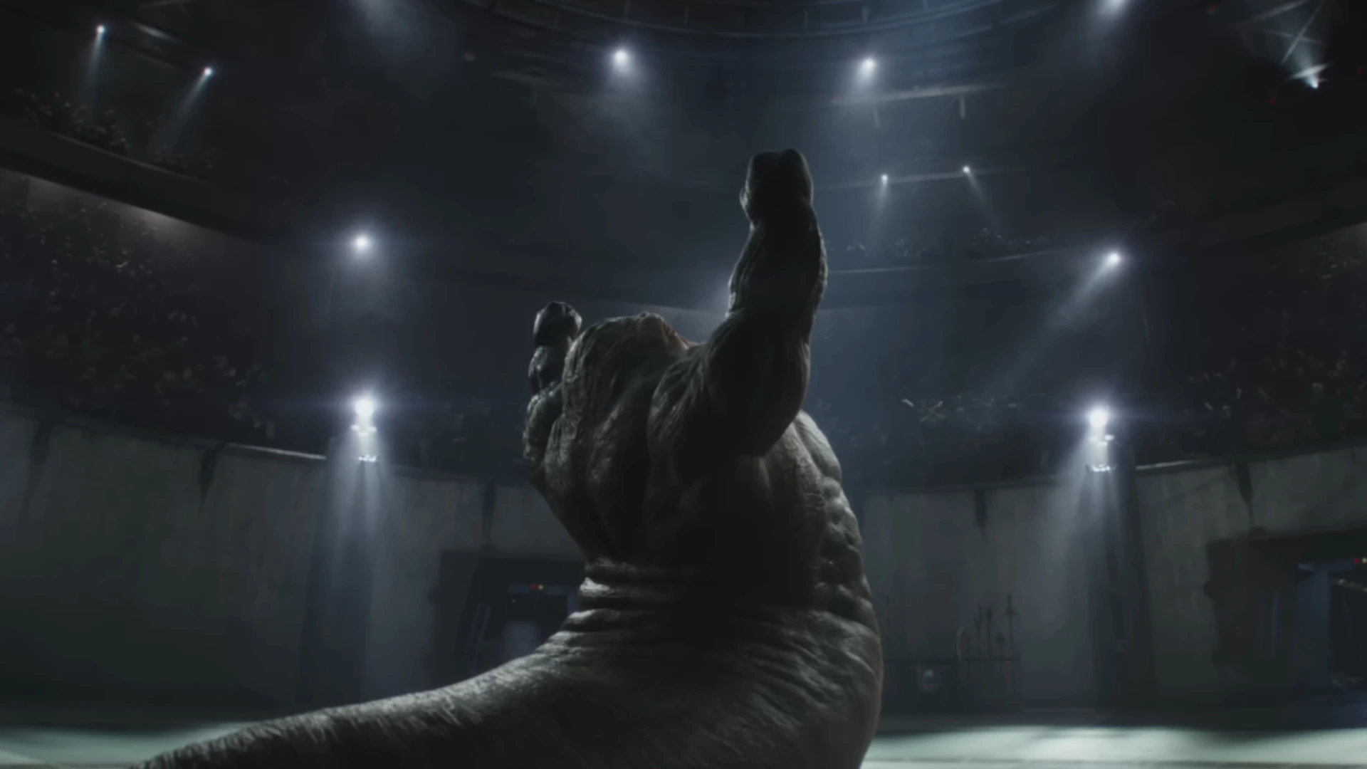 The Mandalorian And Grogu Rotta